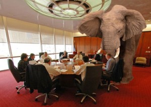 Elephant-in-the-room-CU-300x212.jpg